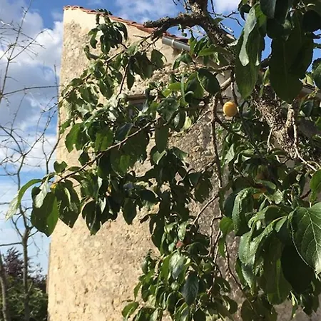 L'insolite Et Medievale Tour Yselda Saint-Pourçain-sur-Sioule