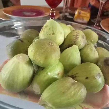 L'insolite Et Medievale Tour Yselda Casa de Férias